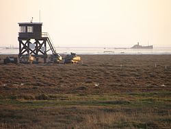 Tower and Targets, RAF Wainfleet - geograph.org.uk - 669903.jpg