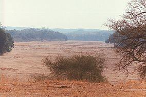Buffalo bend.jpg