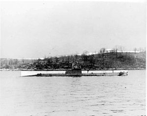 USS N-2 (SS-54).jpg