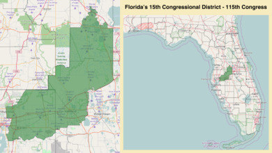 FL15 115.png
