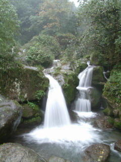 Qingchengshan1.jpg