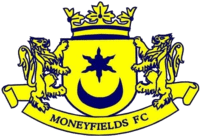 Moneyfields' logo