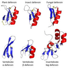 Defensin examples.png