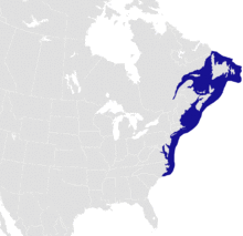 Homerus americanus distribution.png