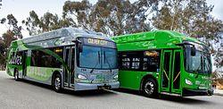 Culver CityBus Rapid and Local Buses.jpg