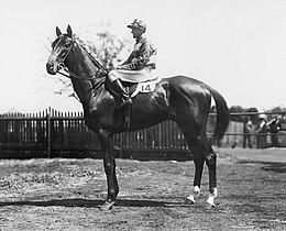 Denis Boy 1931 VATC Caulfield Cup Jockey Andy Knox Trainer Frank McGrath.jpg