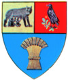 Coat of arms of Județul Cluj