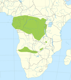 Twa (Blench) small.png