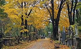Rakowicki Cemetery, main alley,Krakow,Poland.jpg