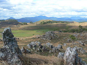Veal Thom Grasslands.jpg