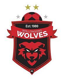Wollongong Wolves FC.jpg
