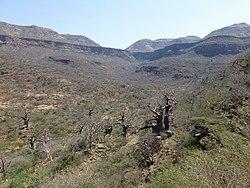 Ethiopie-Vallée des baobabs (8).jpg
