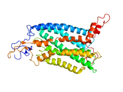 Protein CCR2 PDB 1KAD.png