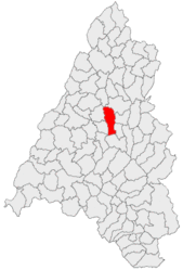 Location in Bihor County