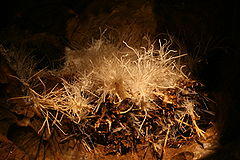 Ochtina Aragonite Cave 38.jpg