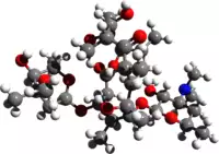 Erythromycin 3d structure.png