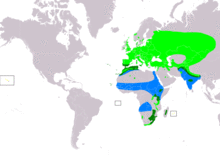 CoturnixCoturnixIUCNver2019-2.png
