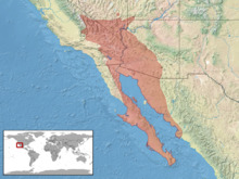 Dipsosaurus dorsalis distribution.png