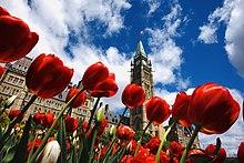 Tulip festival in Ottawa - 2019 (47925742658).jpg