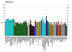 PBB GE ERBB4 206794 at fs.png