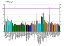 PBB GE RYK 214172 x at fs.png