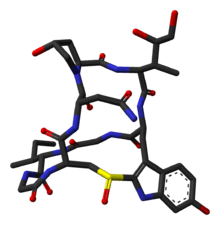 Alpha-amanitin-from-xtal-1k83-3D-sticks-skeletal.png