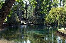 Fonti del clitunno.jpg