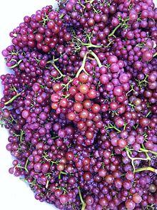 Siegerrebe grapes.JPG