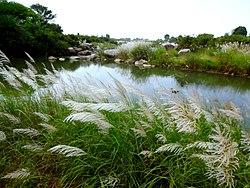 Kulebhra river near Chhindwara