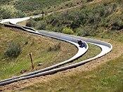 Alpine Slide in Golden.jpg