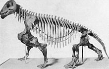 Moschops.jpg