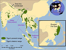 Tiger map.jpg