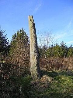 Gareg Hir - geograph.org.uk - 685328.jpg