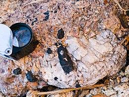 Crystals of black riebeckite in alkaline pegmatite, near Évisa (Corsica, France).jpg
