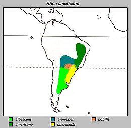 Rhea americana Distribuzione.jpg