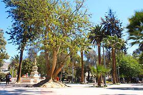 Paseo dia Plaza de Armas de Copiapó.jpg