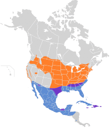 Ammodramus savannarum map.svg
