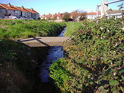 Beeston Beck on Sheringham Back Common.JPG