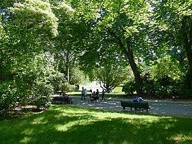 P1110699 Paris XIV parc Montsouris allée de la Vanne rwk.JPG