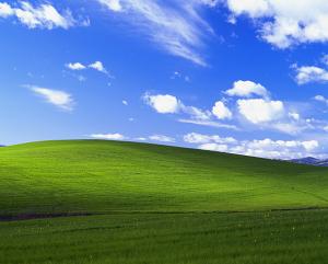 Bliss as seen in a clean Windows XP desktop