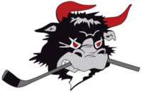 Rødovre Mighty Bulls logo.png