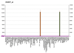 PBB GE CGA 204637 at fs.png