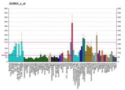 PBB GE RYK 202853 s at fs.png