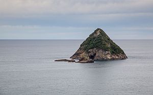 Moturoa Island, New Plymouth.jpg