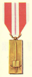 Vietnam Training Service Medal-First Class.png