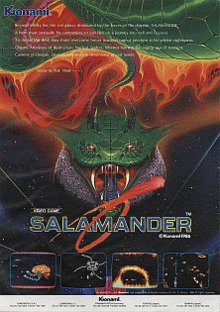 Salamander flyer.png
