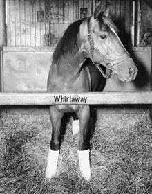 Whirlaway.jpg