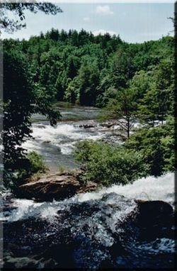 Chattooga River.jpg