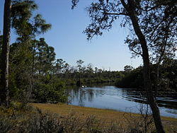 Jonathan Dickinson State Park 002.JPG