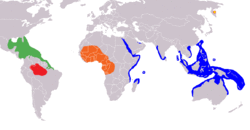 Sirenia distribution.png